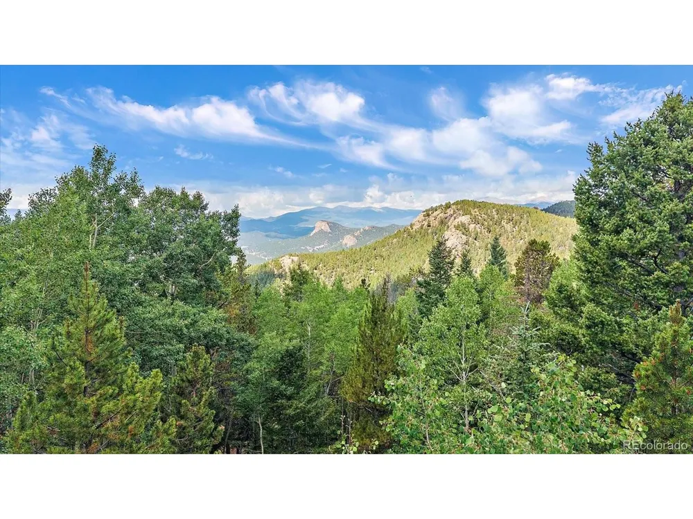 11471 Marks Drive Conifer, CO 80433