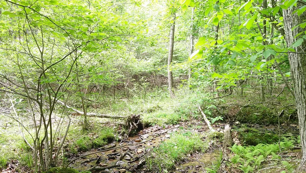 00 Tracks Hollow Murphy, NC 28906