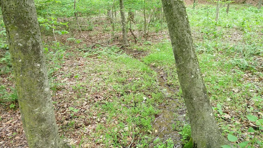 00 Tracks Hollow Murphy, NC 28906