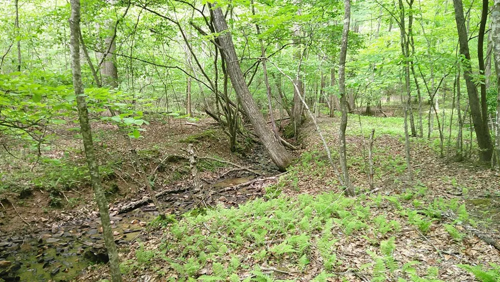 00 Tracks Hollow Murphy, NC 28906