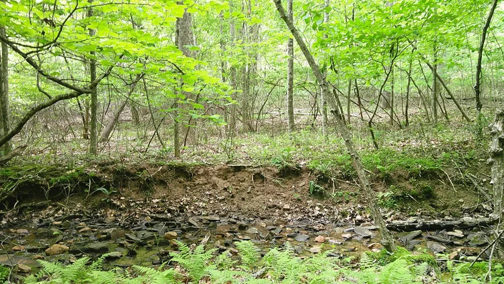 00 Tracks Hollow Murphy, NC 28906