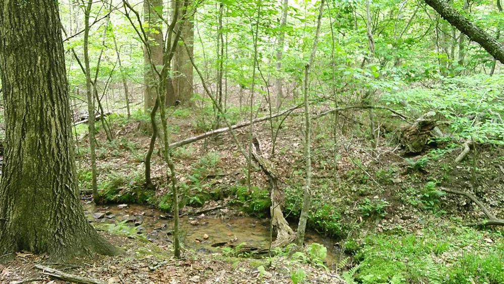 00 Tracks Hollow Murphy, NC 28906