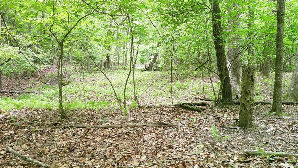 00 Tracks Hollow Murphy, NC 28906