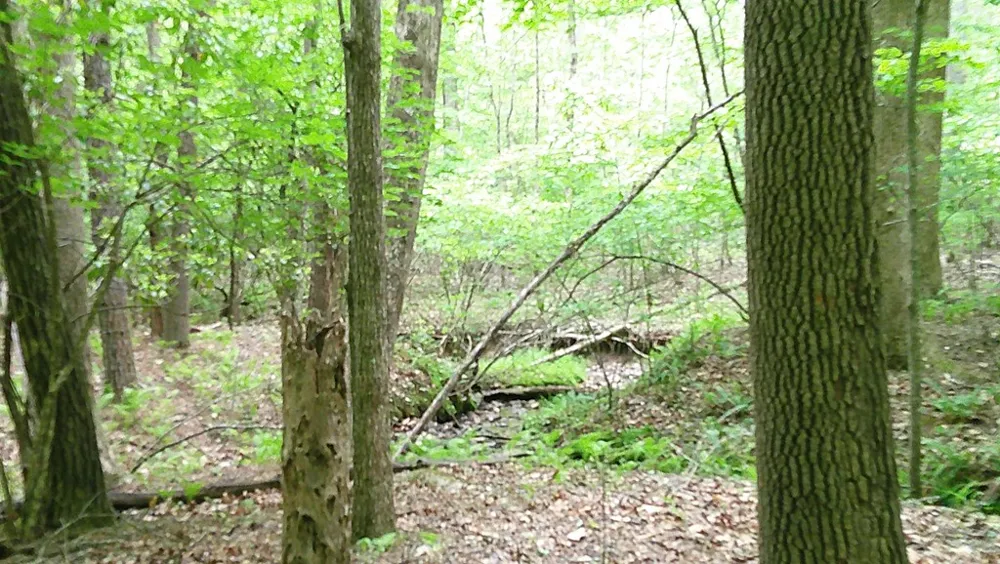 00 Tracks Hollow Murphy, NC 28906
