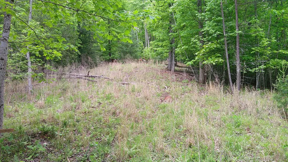00 Tracks Hollow Murphy, NC 28906