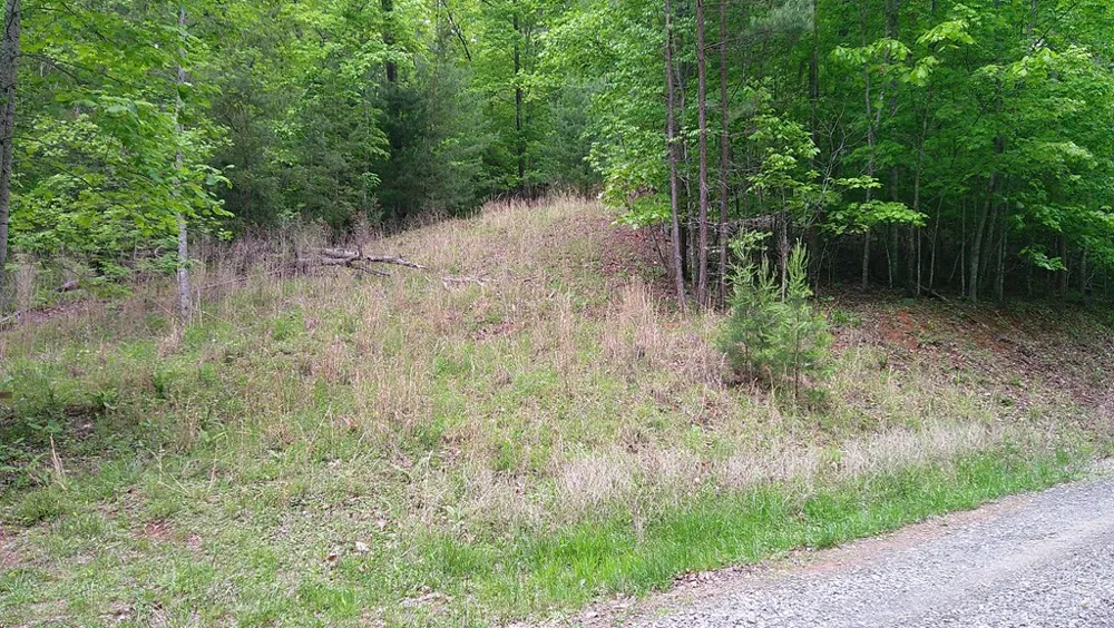 00 Tracks Hollow Murphy, NC 28906