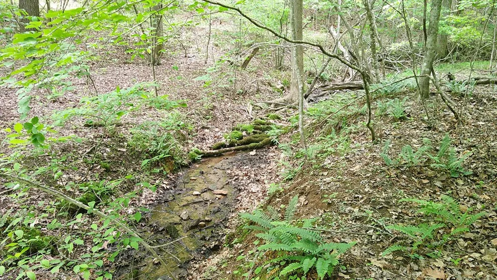 00 Tracks Hollow Murphy, NC 28906