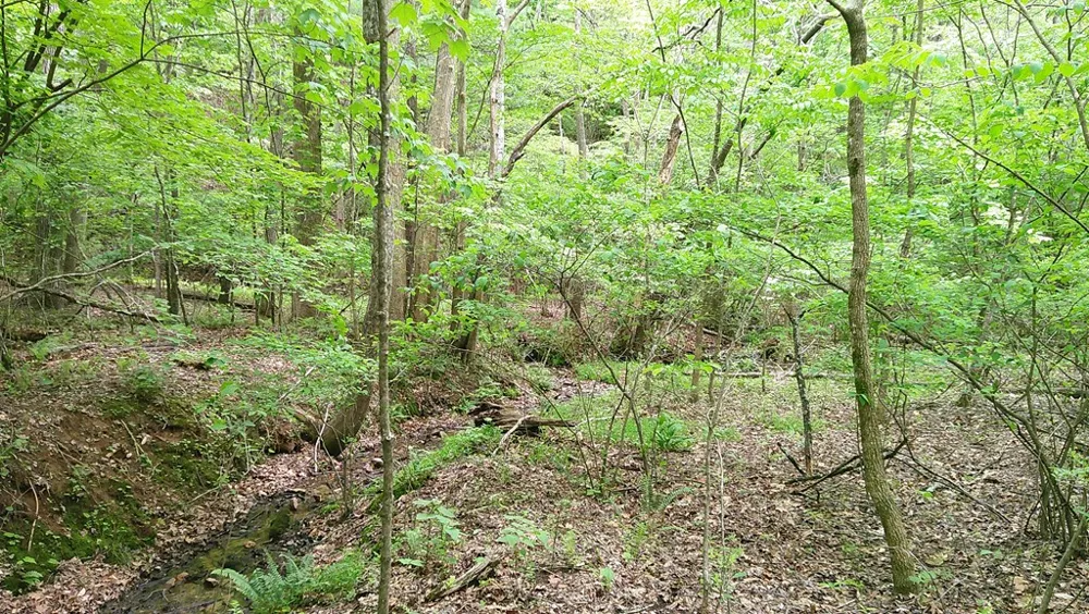 00 Tracks Hollow Murphy, NC 28906