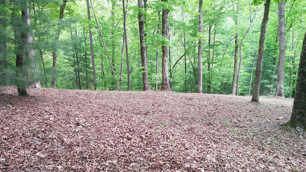 00 Tracks Hollow Murphy, NC 28906