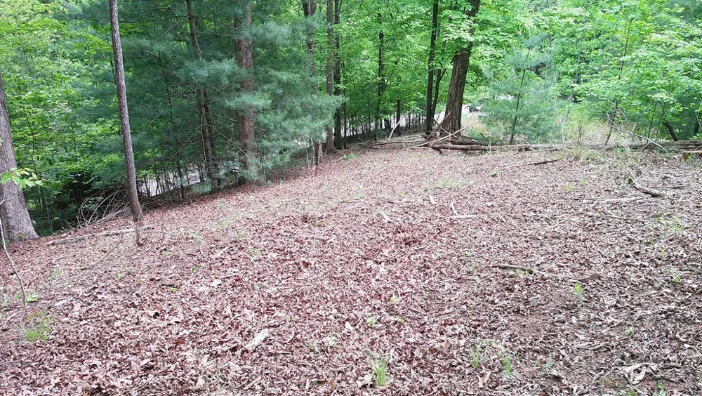 00 Tracks Hollow Murphy, NC 28906