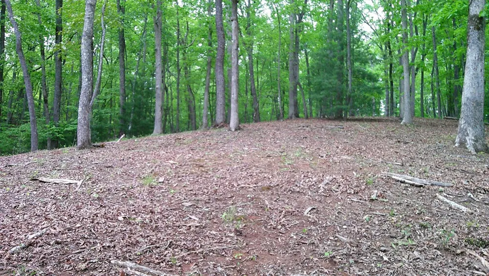 00 Tracks Hollow Murphy, NC 28906