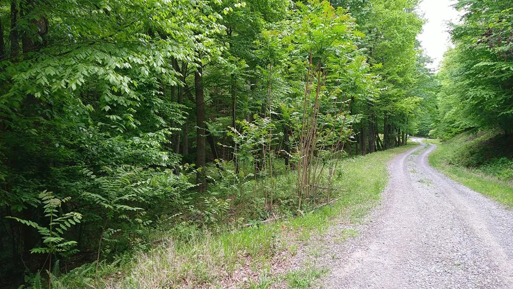 00 Tracks Hollow Murphy, NC 28906