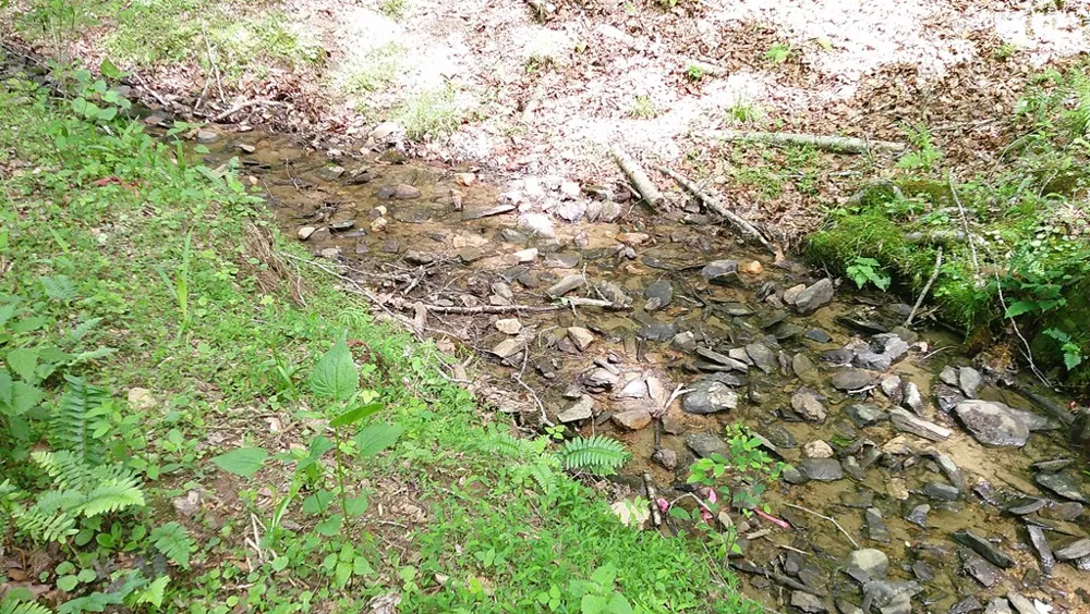 00 Tracks Hollow Murphy, NC 28906