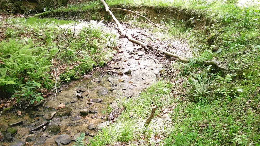 00 Tracks Hollow Murphy, NC 28906