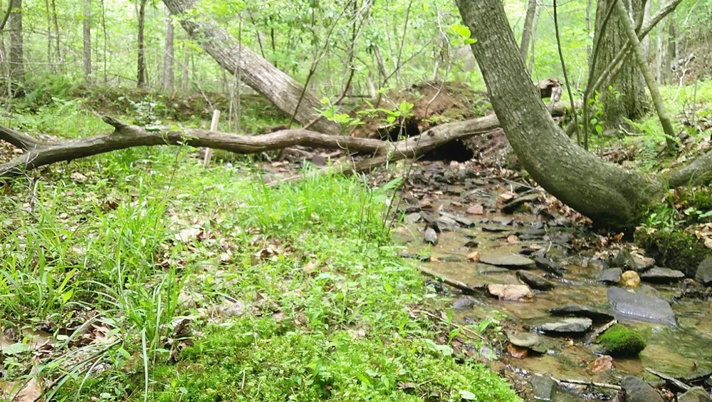 00 Tracks Hollow Murphy, NC 28906