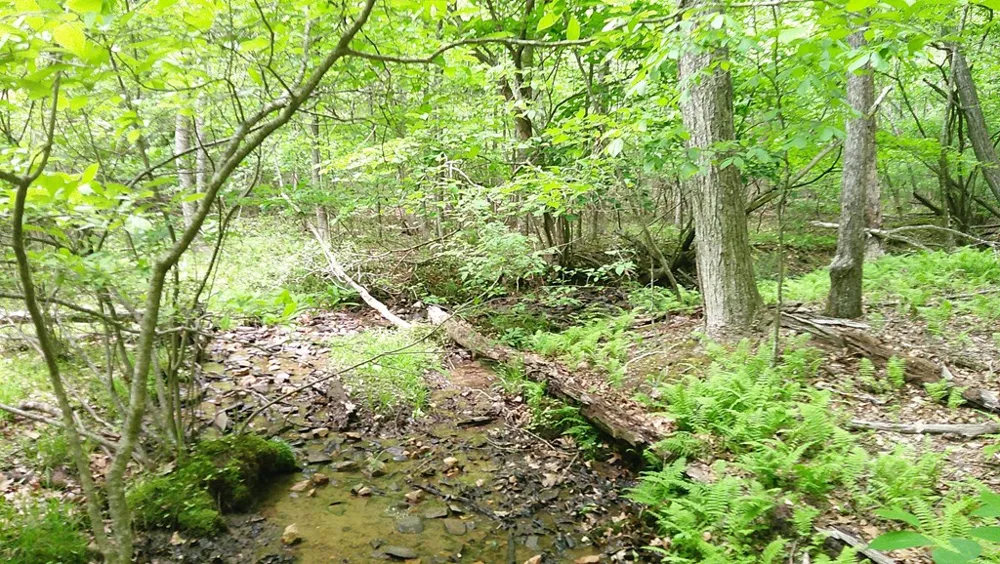 00 Tracks Hollow Murphy, NC 28906