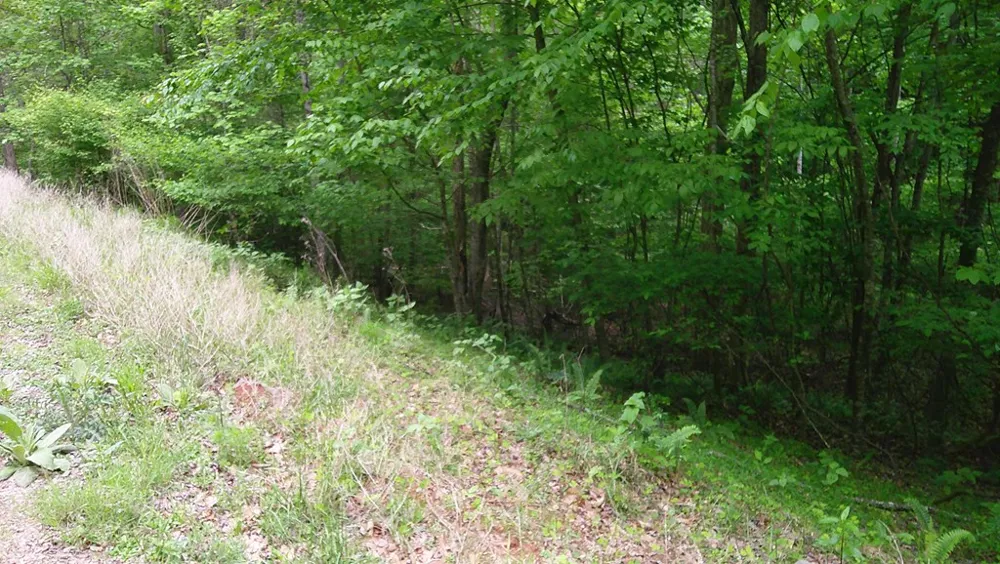 00 Tracks Hollow Murphy, NC 28906