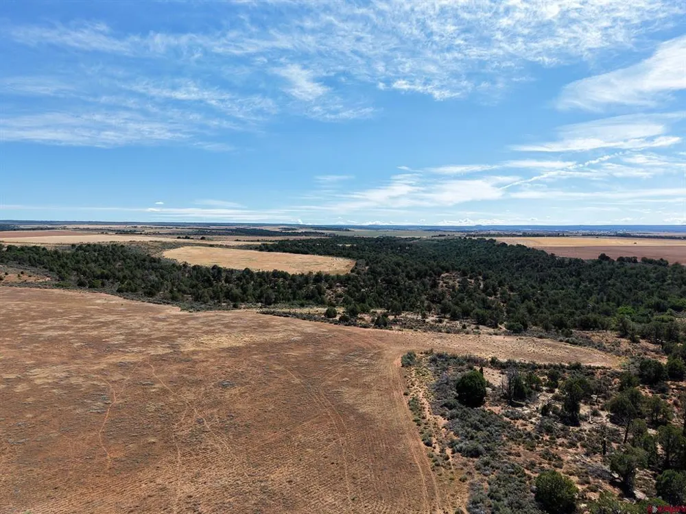 11068 HWY 491 Dove Creek, CO 81324