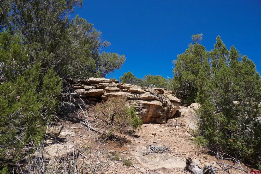 11068 HWY 491 Dove Creek, CO 81324