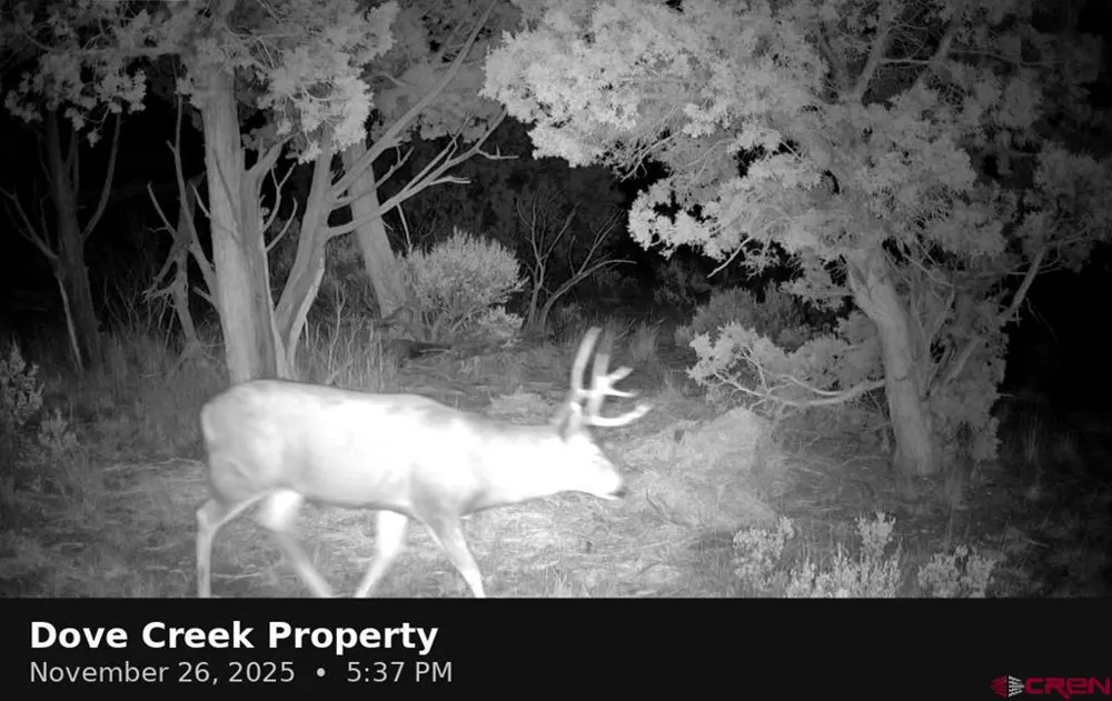 11068 HWY 491 Dove Creek, CO 81324