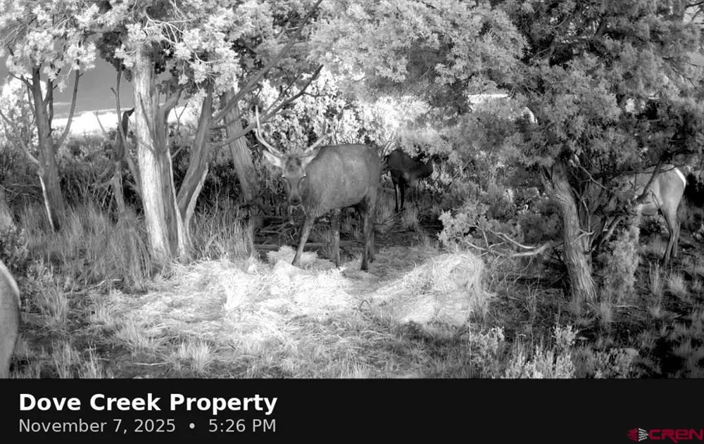 11068 HWY 491 Dove Creek, CO 81324