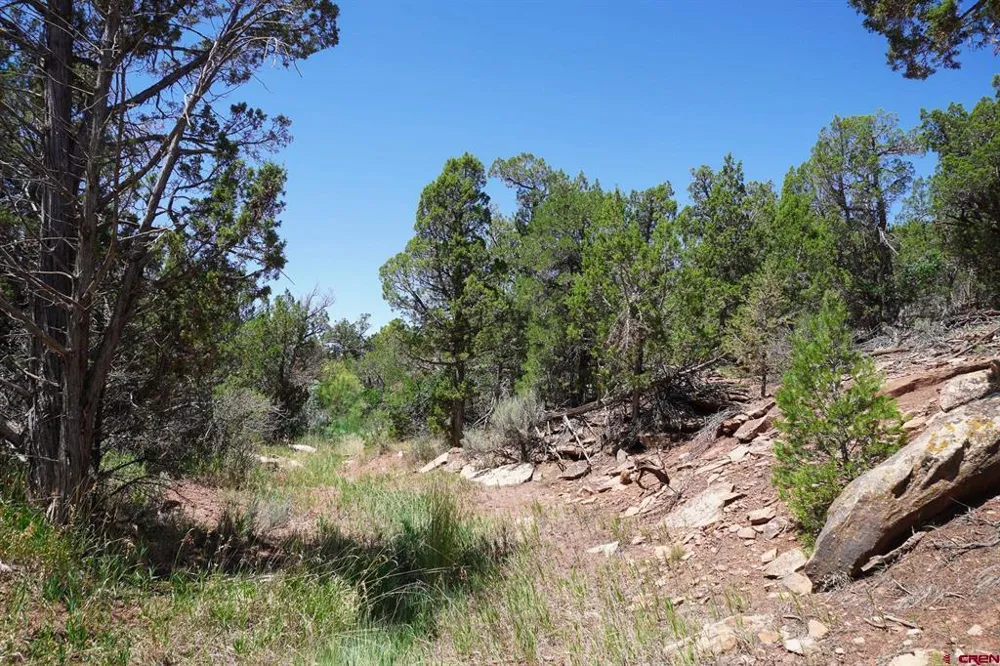 11068 HWY 491 Dove Creek, CO 81324