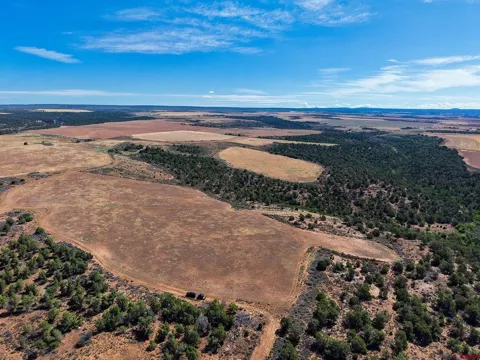 11068 HWY 491