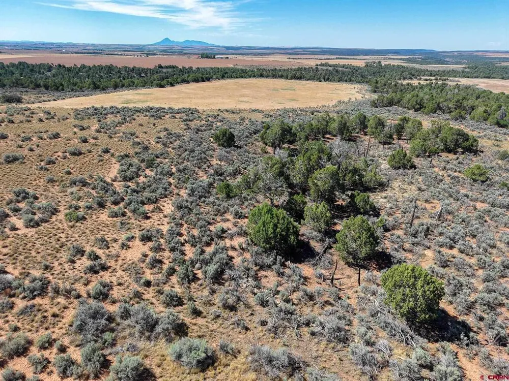 11068 HWY 491 Dove Creek, CO 81324