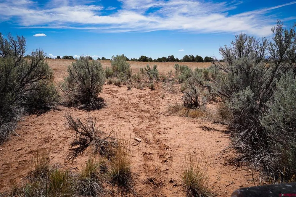 11068 HWY 491 Dove Creek, CO 81324
