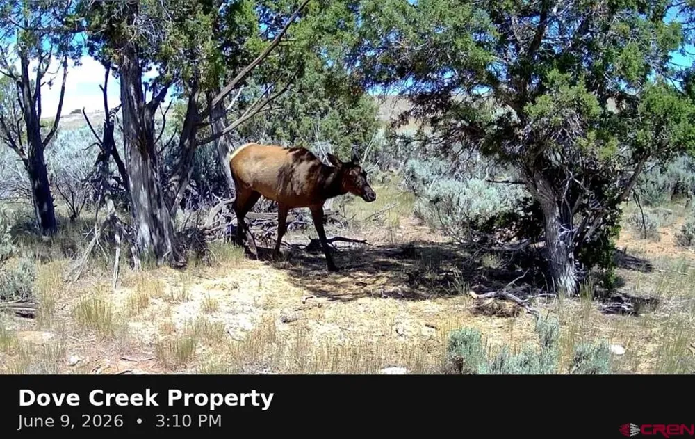 11068 HWY 491 Dove Creek, CO 81324