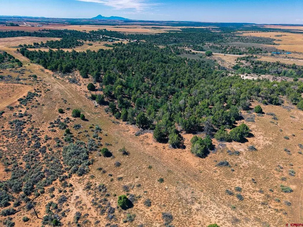 11068 HWY 491 Dove Creek, CO 81324