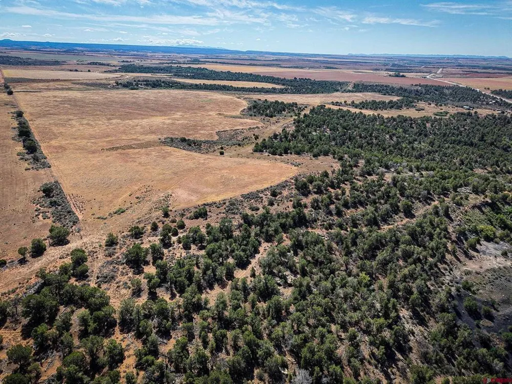 11068 HWY 491 Dove Creek, CO 81324