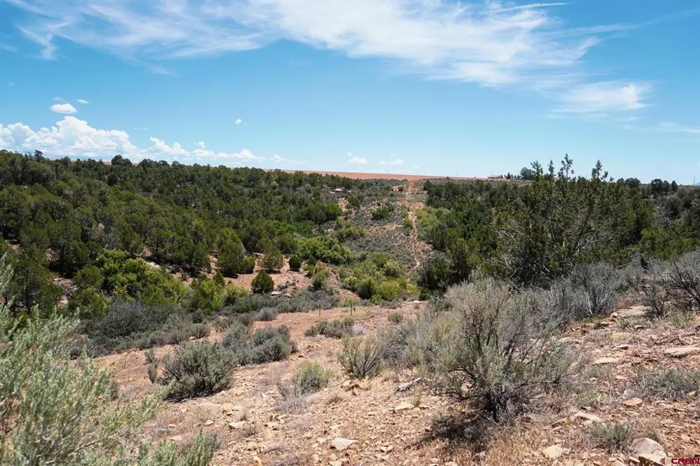 11068 HWY 491 Dove Creek, CO 81324