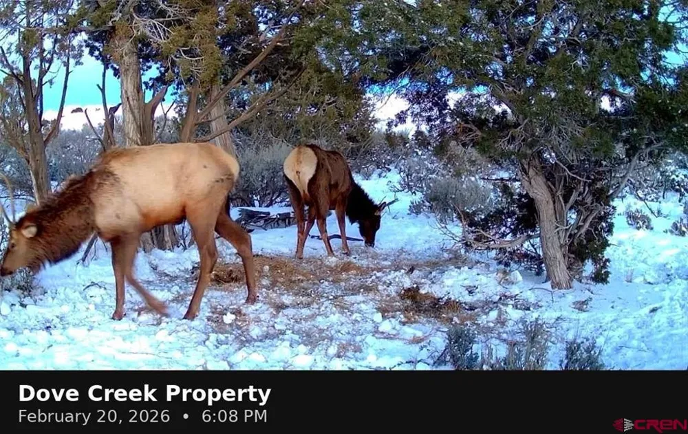 11068 HWY 491 Dove Creek, CO 81324