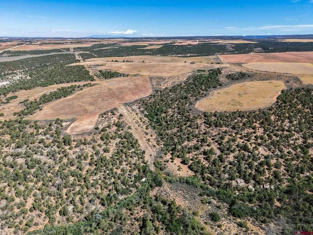 11068 HWY 491 Dove Creek, CO 81324