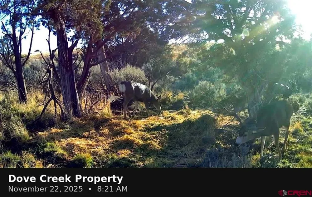 11068 HWY 491 Dove Creek, CO 81324