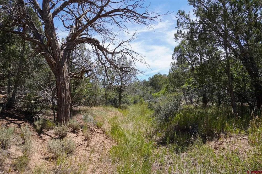 11068 HWY 491 Dove Creek, CO 81324