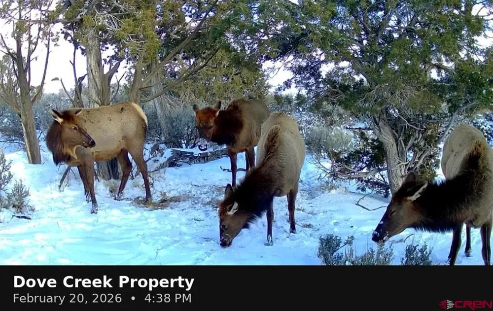 11068 HWY 491 Dove Creek, CO 81324