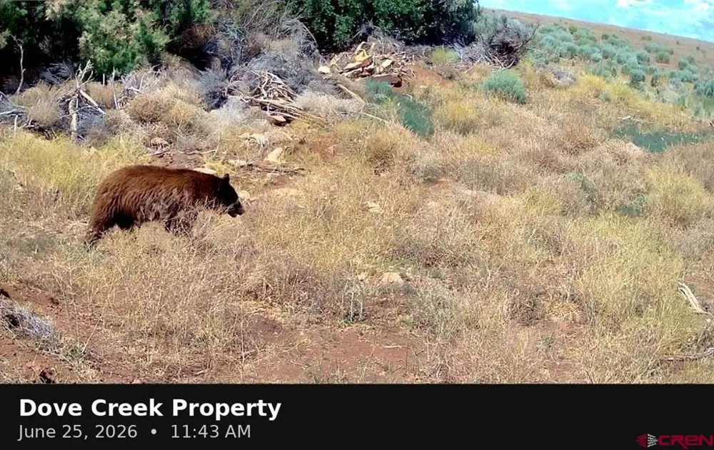11068 HWY 491 Dove Creek, CO 81324