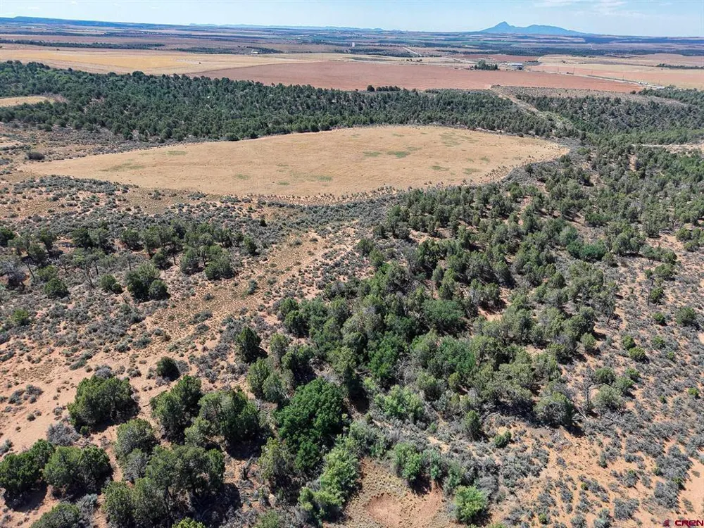 11068 HWY 491 Dove Creek, CO 81324