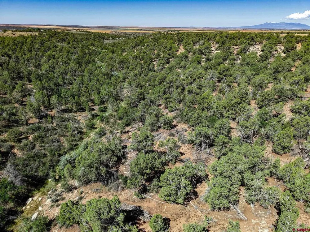 11068 HWY 491 Dove Creek, CO 81324