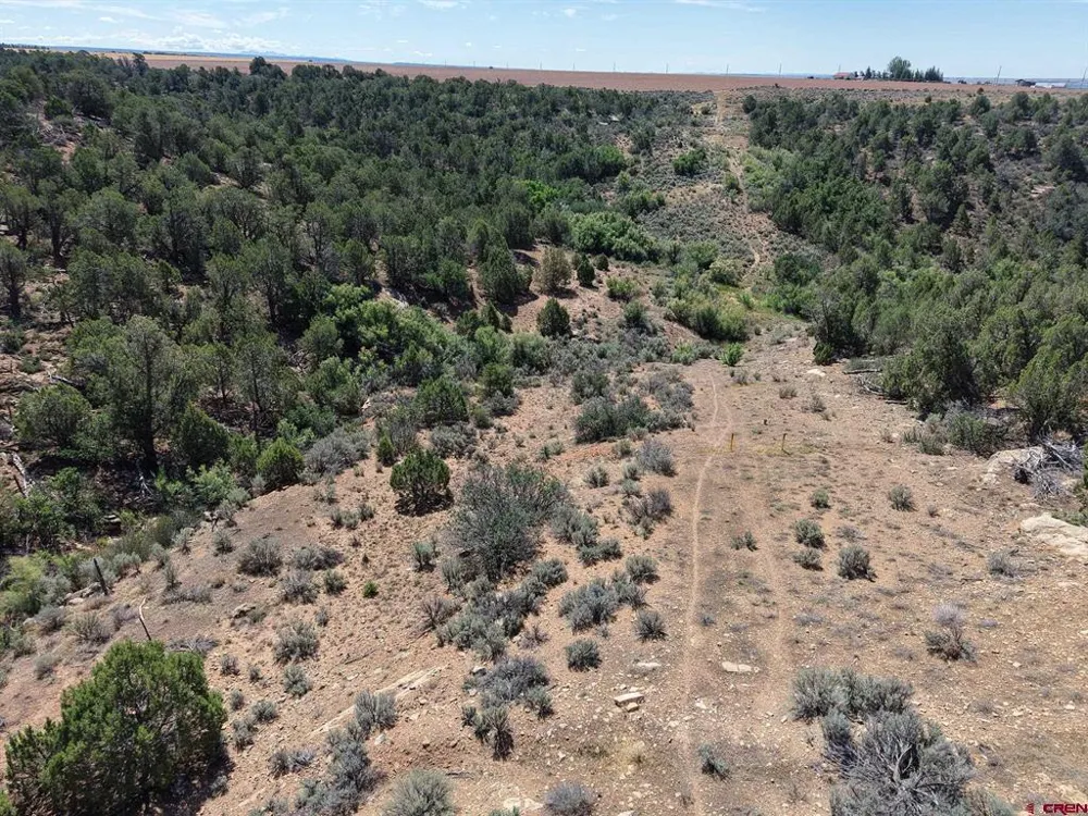 11068 HWY 491 Dove Creek, CO 81324