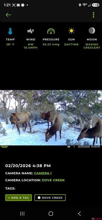 11068 HWY 491 Dove Creek, CO 81324