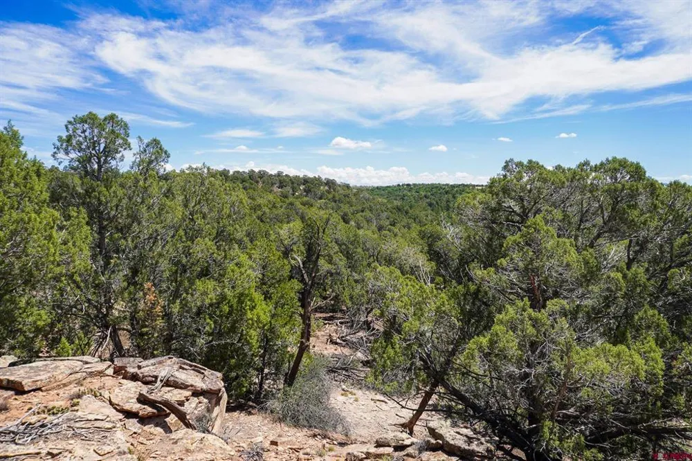 11068 HWY 491 Dove Creek, CO 81324