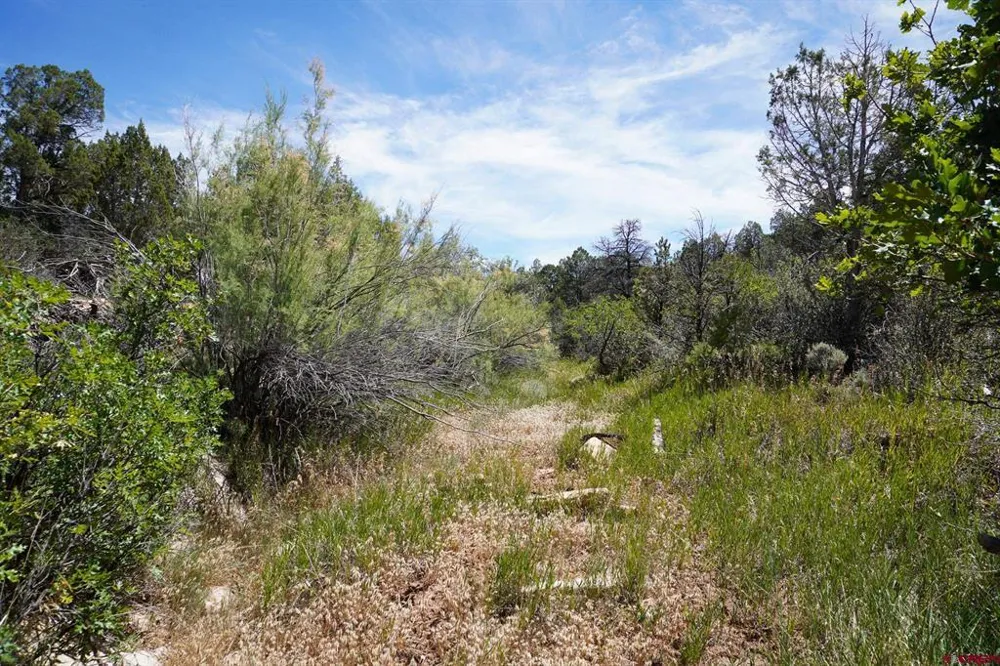 11068 HWY 491 Dove Creek, CO 81324