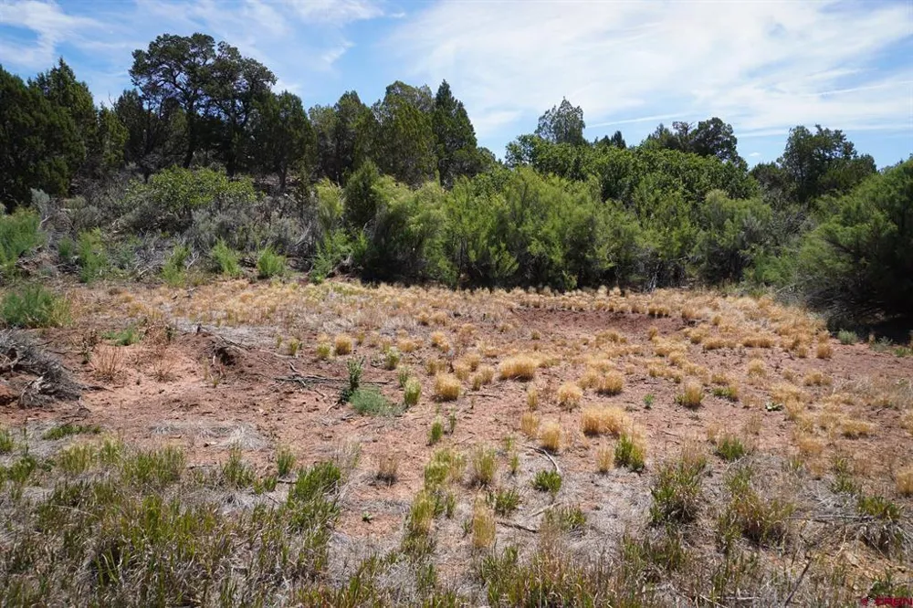 11068 HWY 491 Dove Creek, CO 81324