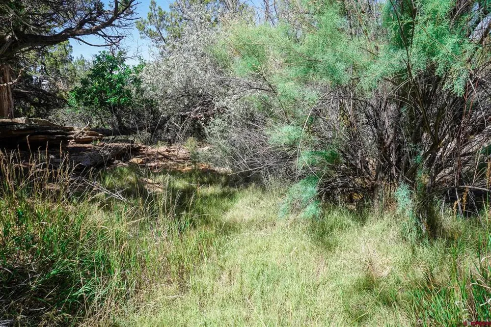 11068 HWY 491 Dove Creek, CO 81324