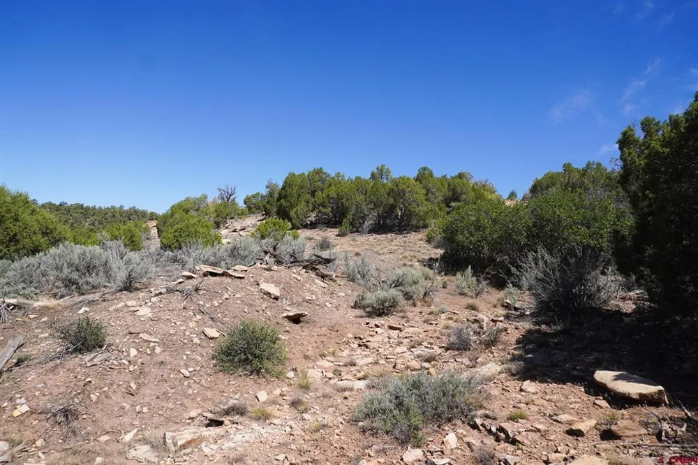11068 HWY 491 Dove Creek, CO 81324