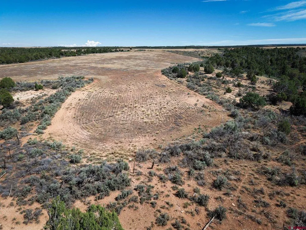 11068 HWY 491 Dove Creek, CO 81324