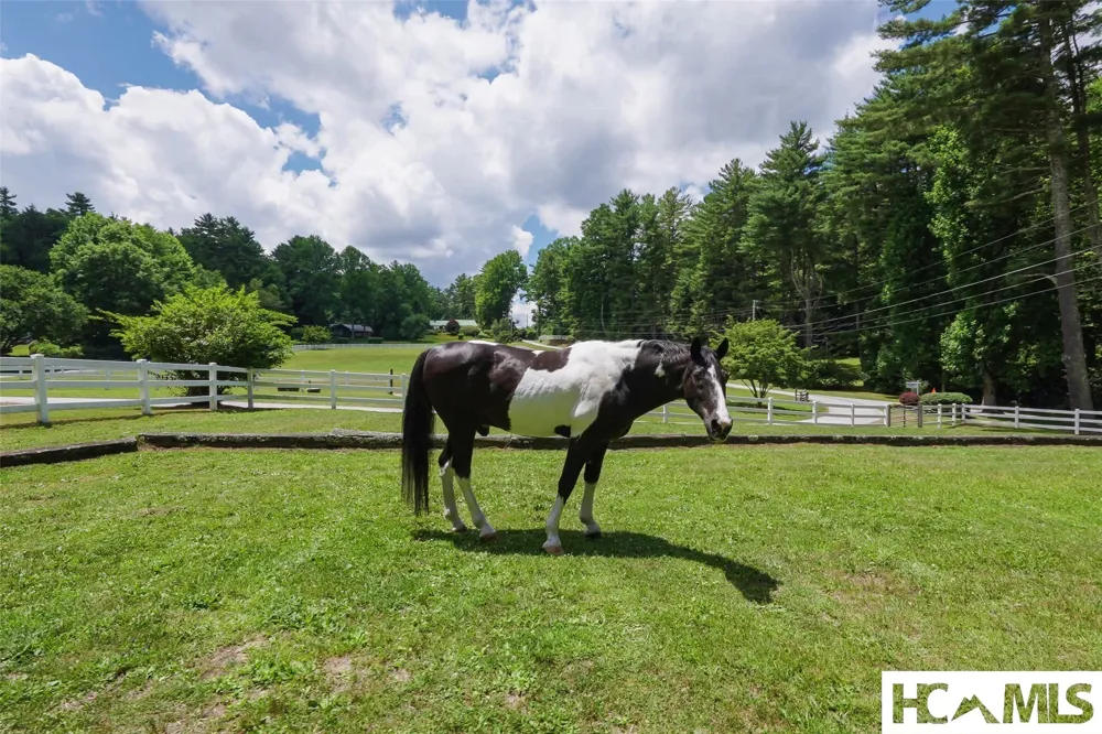 177 Forest Trail Highlands, NC 28741